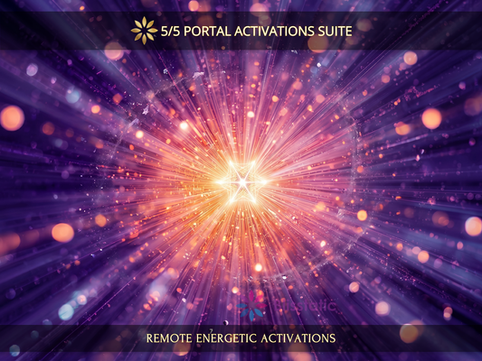 5/5 Portal Activations Suite
