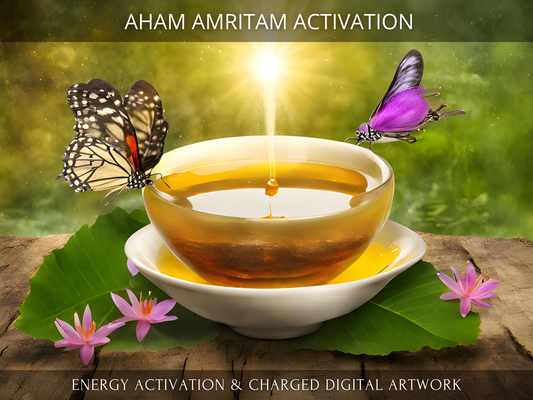 Aham Amritam (Nectar of Energetic Immortality) Activation
