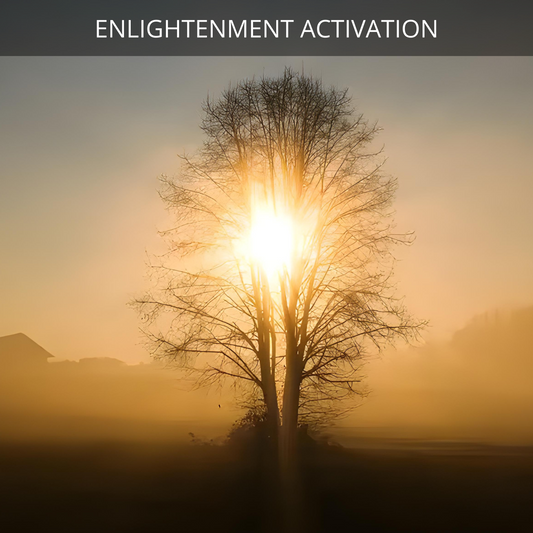 Enlightenment Activation