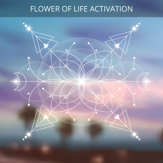 Flower of Life Activation